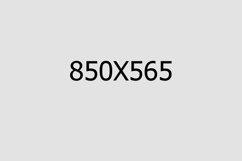 Blog Single